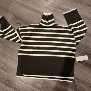 Elegant Black and White Striped Turtleneck Sweater